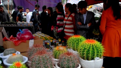 Dòng người ùn ùn đổ về chợ Viềng cầu may - ảnh 8