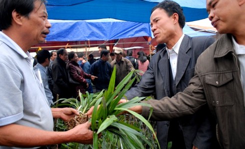 Dòng người ùn ùn đổ về chợ Viềng cầu may - ảnh 2