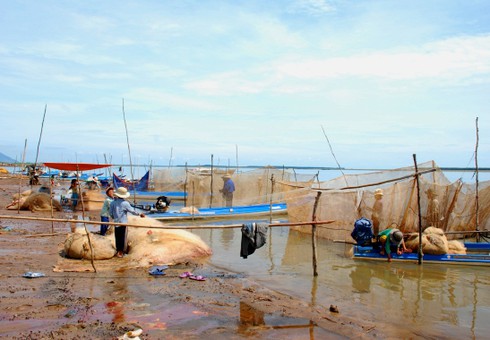 Tận diệt thủy sản hồ Dầu Tiếng - ảnh 5