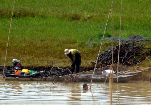 Tận diệt thủy sản hồ Dầu Tiếng - ảnh 3