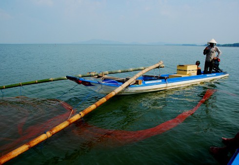 Tận diệt thủy sản hồ Dầu Tiếng - ảnh 2