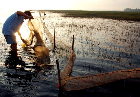 Tận diệt thủy sản hồ Dầu Tiếng - ảnh 4