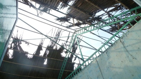 TP.HCM: 11 phòng trọ bị thiêu rụi do cháy cỏ - ảnh 6