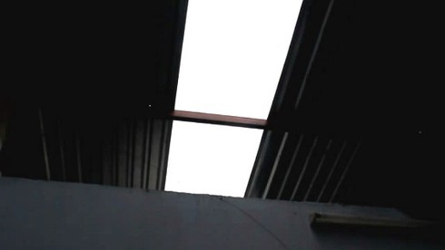 TP.HCM: Giông lớn làm tốc mái nhà, cây xanh đổ rạp - ảnh 5