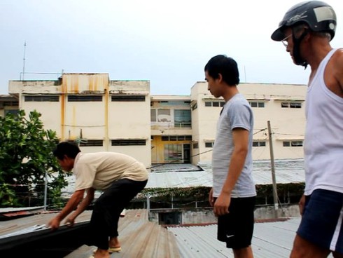TP.HCM: Giông lớn làm tốc mái nhà, cây xanh đổ rạp - ảnh 1