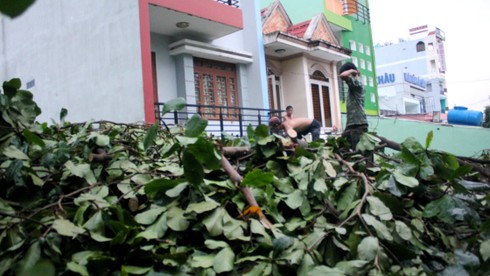 TP.HCM: Giông lớn làm tốc mái nhà, cây xanh đổ rạp - ảnh 7