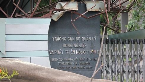 TP.HCM: Cây phượng lớn bất ngờ đổ giữa cổng trường - ảnh 7