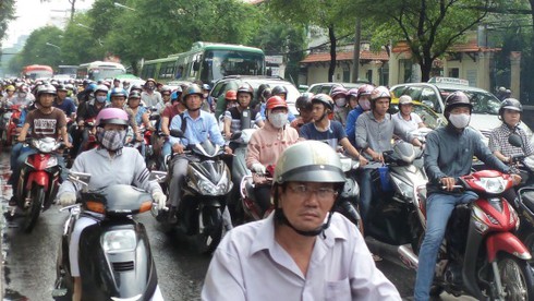 TP.HCM: Mưa gió lớn tiếp tục “gây họa” - ảnh 3