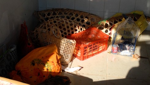 Bắt hai xe khách giường nằm chở hơn 600kg heo, vịt lậu - ảnh 2