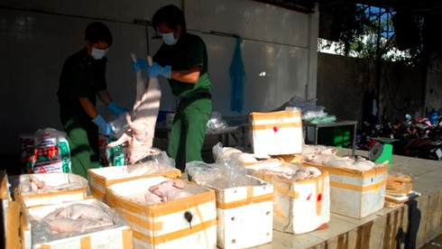 Bắt hai xe khách giường nằm chở hơn 600kg heo, vịt lậu - ảnh 3