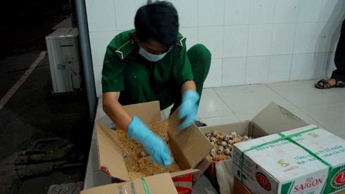 Bắt gần 4 vạn quả trứng cút không rõ nguồn gốc - ảnh 4