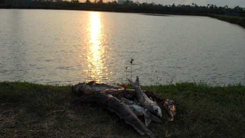 Bãi rác khổng lồ tồn tại 10 năm: Người dân ngắc ngoải sống - ảnh 3