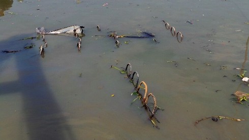 Cận cảnh trục vớt tàu cánh ngầm trên sông Sài Gòn - ảnh 4