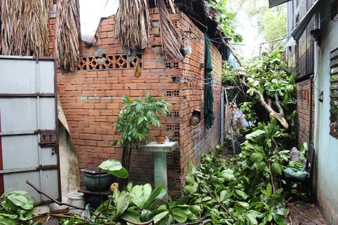 TP.HCM: Lốc xoáy bất ngờ kéo sập mái hàng chục nhà dân - ảnh 7