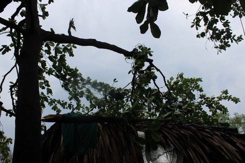 TP.HCM: Lốc xoáy bất ngờ kéo sập mái hàng chục nhà dân - ảnh 1