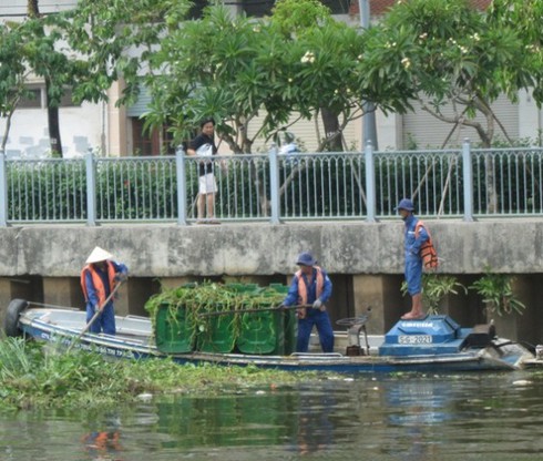 Nhiêu Lộc: Cá chết nổi đầy kênh, dân đua nhau đi vớt - ảnh 5