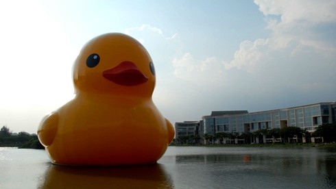 Người dân thích thú ngắm chú vịt khổng lồ - ảnh 4