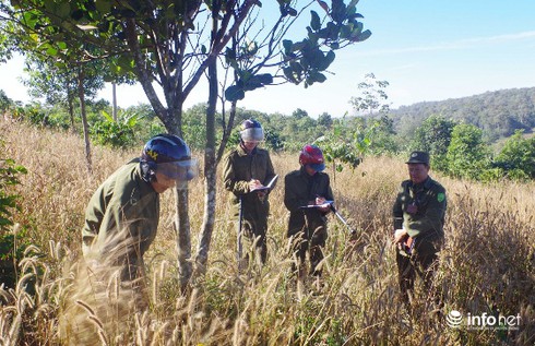 Trộm bò, xẻ thịt cho vợ đi bán, hai vợ chồng cùng sa lưới pháp luật - ảnh 1