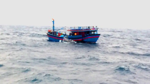 Cứu nạn 12 thuyền viên trên tàu hỏng máy trôi dạt - ảnh 1