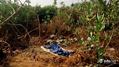 Phát hiện thi thể trong bụi rậm, nằm bên cạnh là hai chai thuốc sâu - ảnh 1