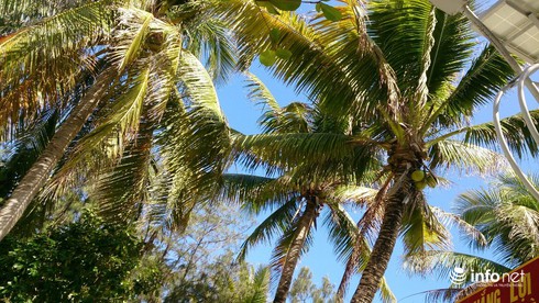 Đảo Nam Yết-Trường Sa lần đầu có mưa sau 5 tháng khô ròng rã - ảnh 5