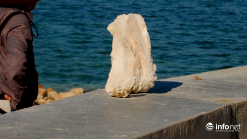 Những kẻ trộm đá tại Trường Sa - ảnh 2