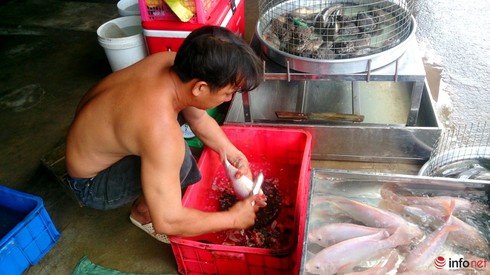 TP.HCM thành lập Ban điều phối rau, thịt sạch cho người dân - ảnh 1