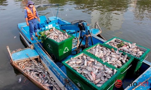 Lắp vòi bơm, quạt bề mặt ngăn cá chết tại kênh Nhiêu Lộc – Thị Nghè - ảnh 1