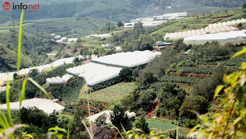 Lâm Đồng đầu tư tập huấn, bồi dưỡng cán bộ xây dựng nông thôn mới - ảnh 1