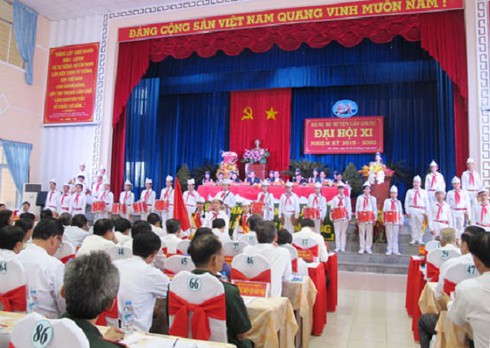 Long An: Tiến hành 3 Đại hội Đảng bộ cấp trên cơ sở - ảnh 1