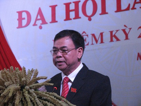 63/63 tỉnh, thành phố đã tiến hành tổ chức Đại hội Đảng bộ nhiệm kỳ 2015- 2020 - ảnh 2