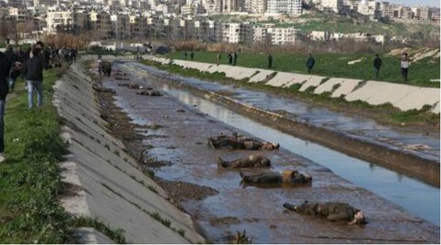 Syria: Gần 100 xác chết trôi sông - ảnh 1