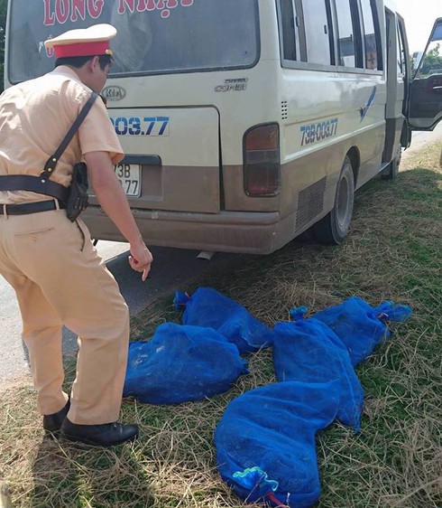 Phát hiện hàng chục con kỳ đà nằm trên xe khách - ảnh 1