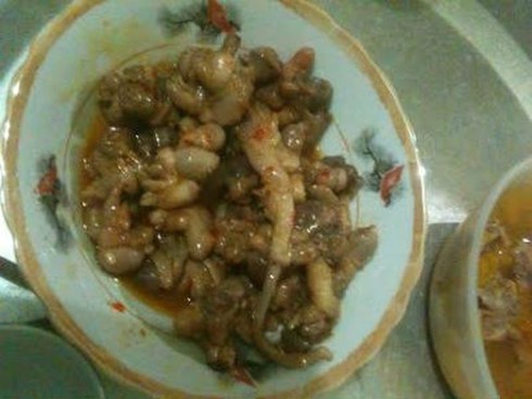 Giật mình chữa hiếm muộn bằng tinh hoàn lợn - ảnh 1