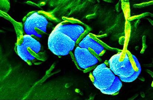 Trẻ 2 tuổi mắc sùi mào gà, bé 3 tuổi bị bệnh lậu - ảnh 1