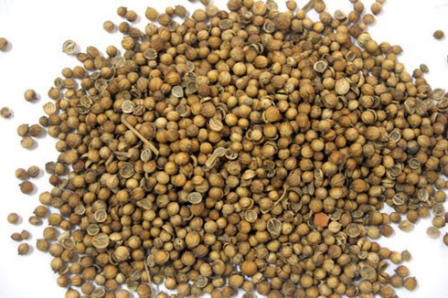 Dịch sởi ở trẻ em: Hạt mùi không thể phòng và trị sởi - ảnh 1