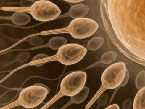 Đi bơi có mang bầu được không? - ảnh 2