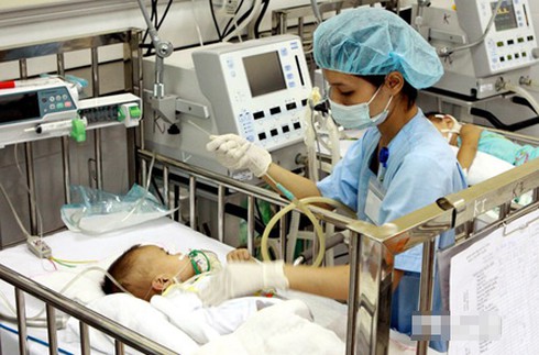 Sự thật về dịch viêm não Nhật Bản ở Sơn La - ảnh 1