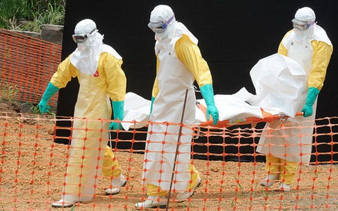 Hai ngày thêm 56 người tử vong do bệnh Ebola - ảnh 1
