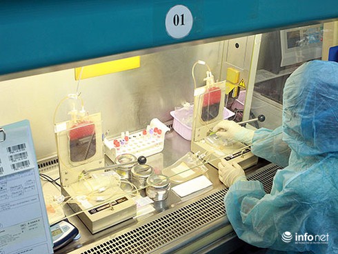 Vụ Bio-Rad hối lộ quan chức: Số tiền hoa hồng có thể bị khai khống lên - ảnh 1