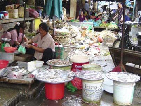 15 doanh nghiệp vi phạm ATTP bị xử phạt hành chính - ảnh 1