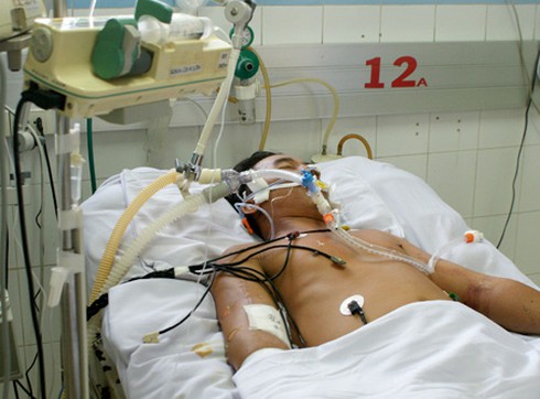 Bệnh nhân hôn mê: Ai có quyền chấm dứt cuộc sống của họ? - ảnh 1