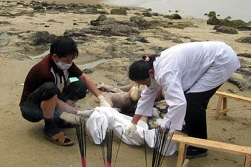 Bí ẩn nghề bác sĩ pháp y - ảnh 1