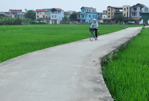 Xây dựng nông thôn mới tại Bắc Ninh còn nhiều hạn chế - ảnh 1
