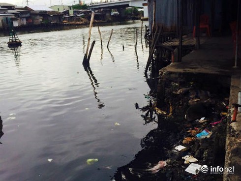 Cà Mau: Sông Gành Hào nước đen như mực - ảnh 1