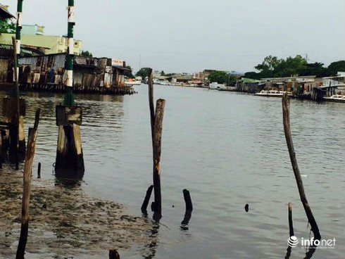 Cà Mau: Sông Gành Hào nước đen như mực - ảnh 9