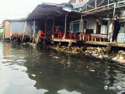 Cà Mau: Sông Gành Hào nước đen như mực - ảnh 10