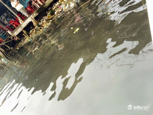 Cà Mau: Sông Gành Hào nước đen như mực - ảnh 11