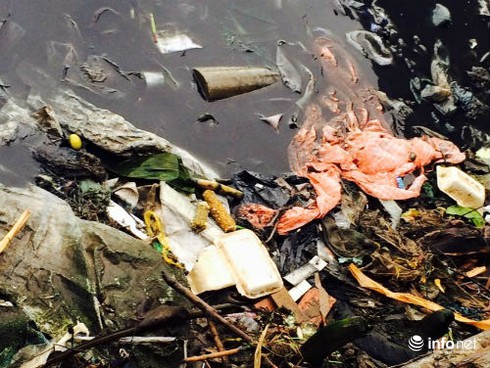 Cà Mau: Sông Gành Hào nước đen như mực - ảnh 3