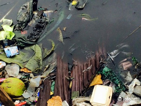 Cà Mau: Sông Gành Hào nước đen như mực - ảnh 4